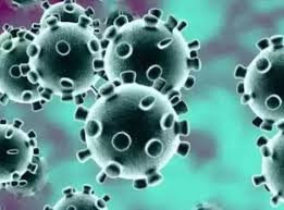 indore, 82 new cases,corona found, two people also died