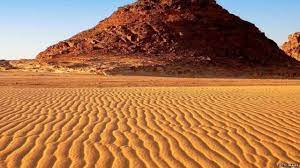 bhopal, wide range,desert