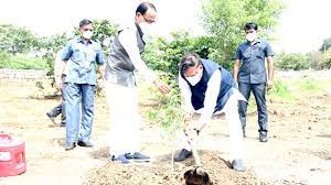 bhopal,Chief Minister planted , plant of Ficus