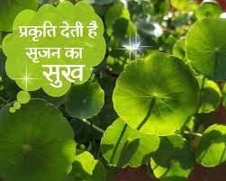 bhopal,The deteriorating mood , nature, incurable epidemic!