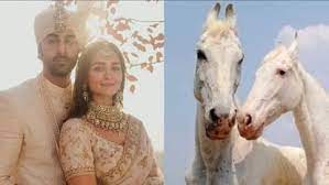 mumbai, Ranbir-Alia , special gift ,after marriage