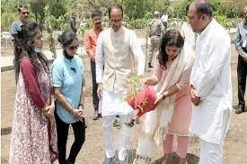 bhopal, Chief Minister Chouhan, planted saplings 
