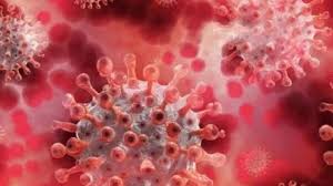 bhopal, Corona patients, started increasing,MP