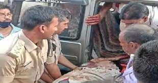 shivraj sing chouhan black bug pecocak 