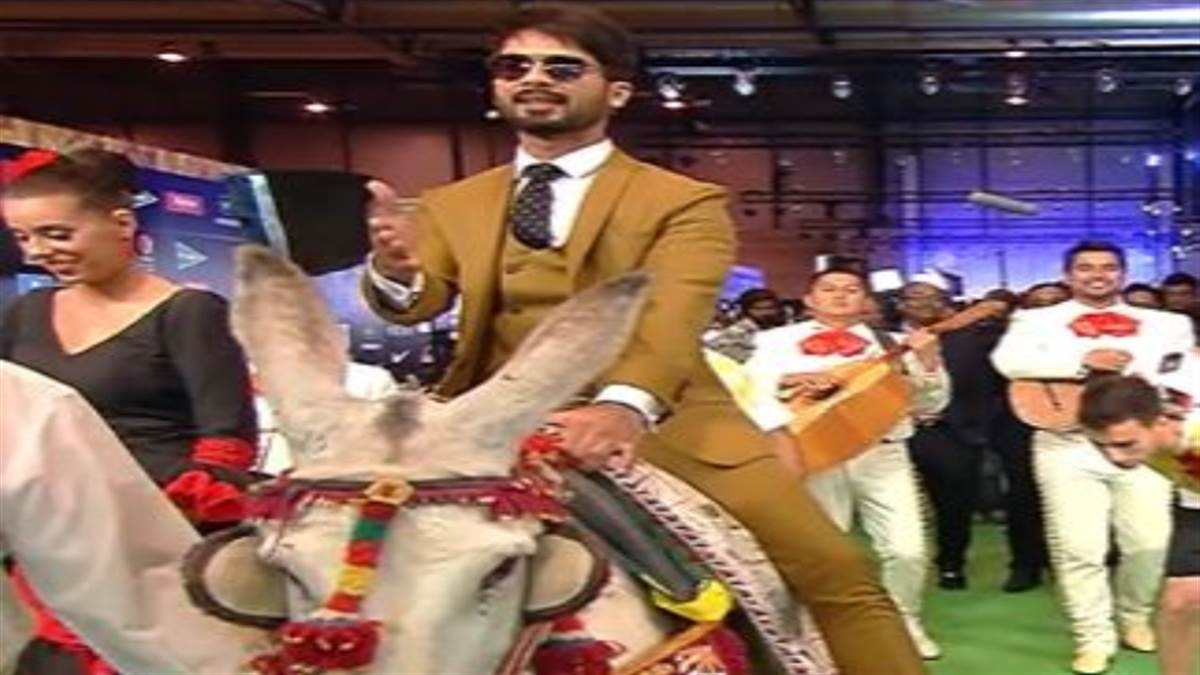 ifa award shahid kapoor 