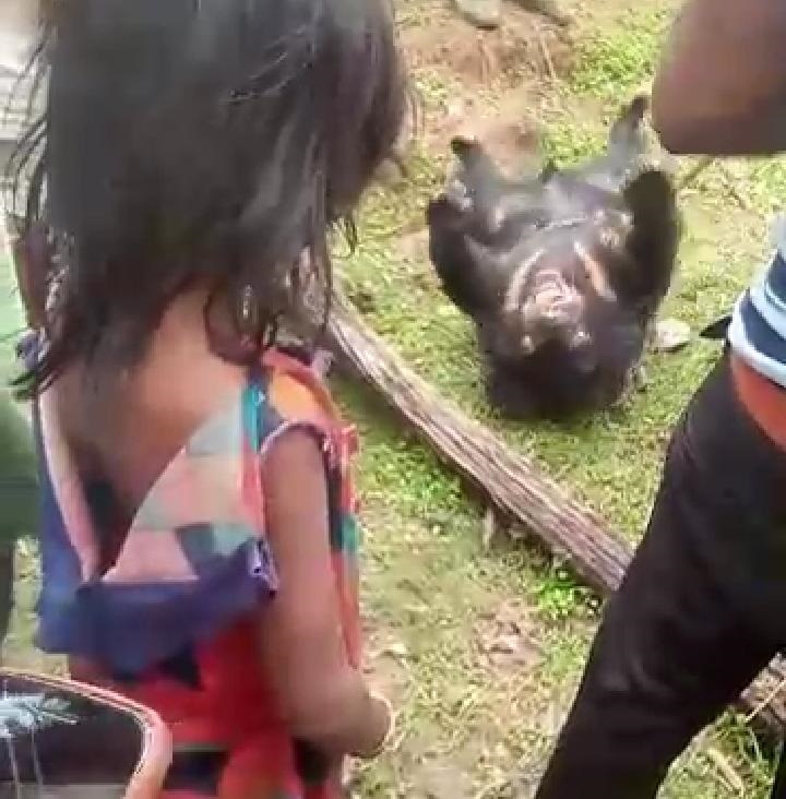 कुएं में गिराने से भालू की हुई मौत