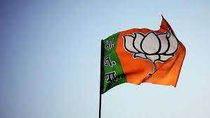 विजयराघवगढ़ एवं कैमोर में भाजपा