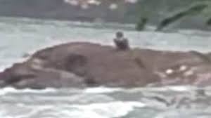 मछली पकड़ने की जाल में फंसा युवक  