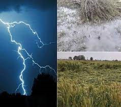 किसान की चालीसा हो रही वायरल