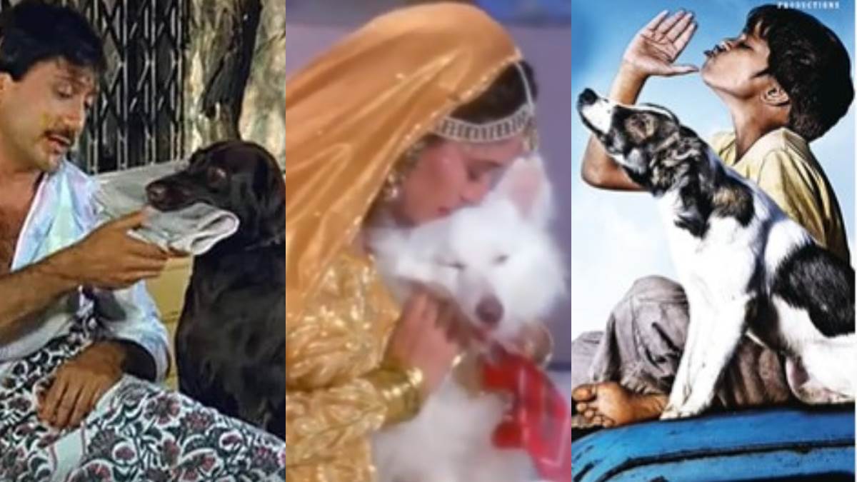 26 अगस्तइंटरनेशनल डॉग डे 