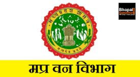 वन विभाग की छापामार कार्रवाई