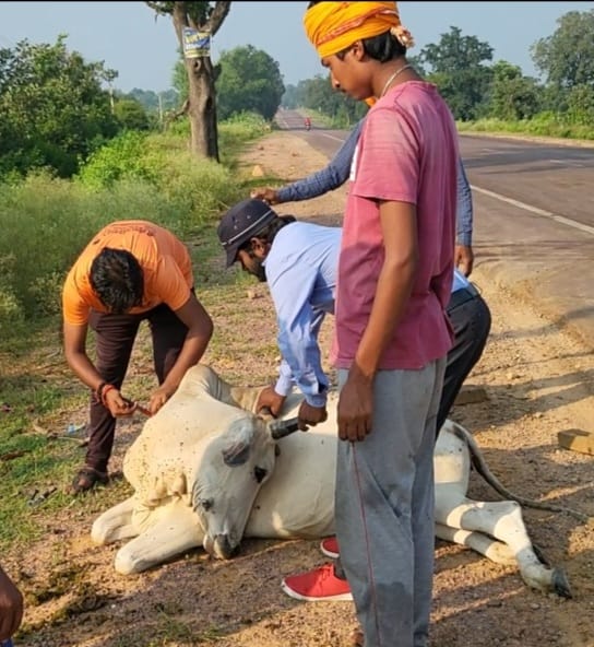 तेज रफ़्तार ट्रक का कहर