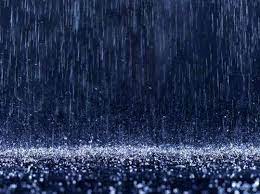 किसानों को सोयाबीन की फसल का नुकसान