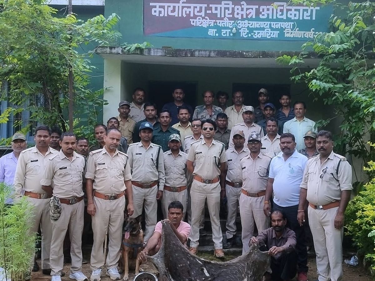 बांधवगढ़ टाइगर रिजर्व से 2 शिकारी गिरफ्तार