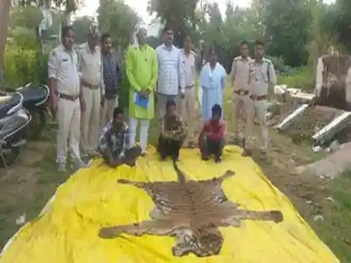 बाघ की खाल के तीन तस्कर गिरफ्तार
