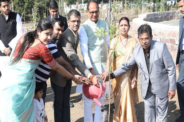 अंतर्राष्ट्रीय ब्रिज प्रतियोगिता के विजेता खिलाड़ियों ने मुख्यमंत्री के साथ पौध-रोपण किया