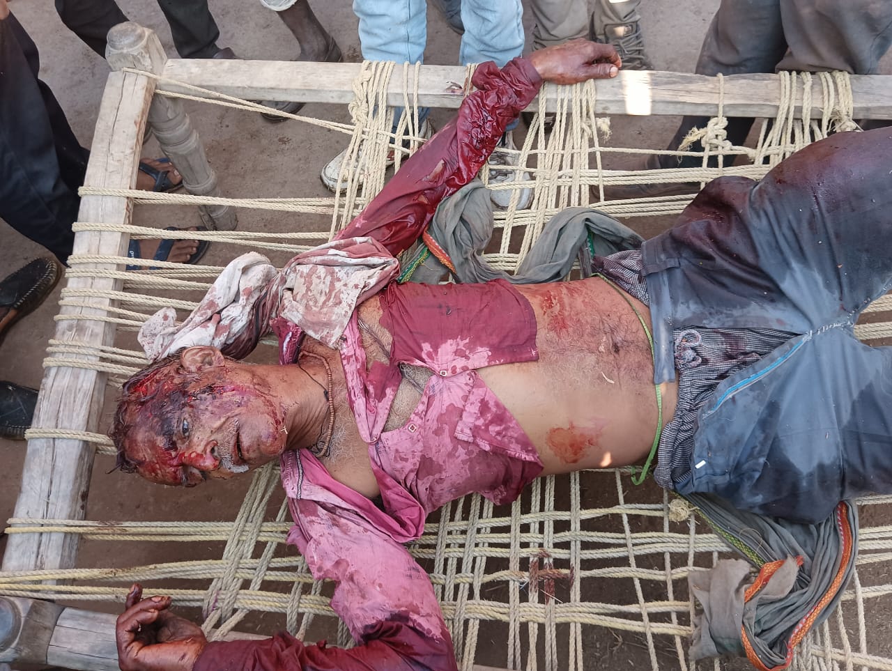 भालूओं के हमले में एक ग्रामीण गंभीर रूप से घायल