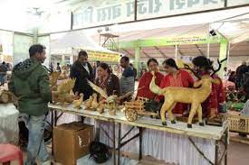 अंतर्राष्ट्रीय वन  मेले का लुत्फ उठाने पहुंच रहे लोग
