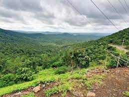 bhopal, Partly cloudy , effect of weather system, less chance , day temperature