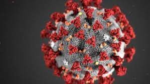 bhopal, 24 new cases , corona found in MP