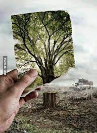 bhopal,poor nature ,the situation