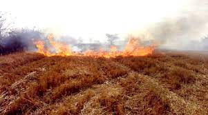 ratlam, fire of Narwai, flared up again , railway track