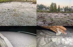 प्रदेश में लगातार बढ़ रही से लोग परेशान