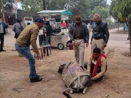 पुलिस के अनोखे अभियान की चर्चा