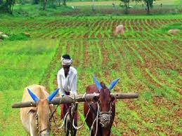 किसानों  को दिया कम्पनी ने धोखा  