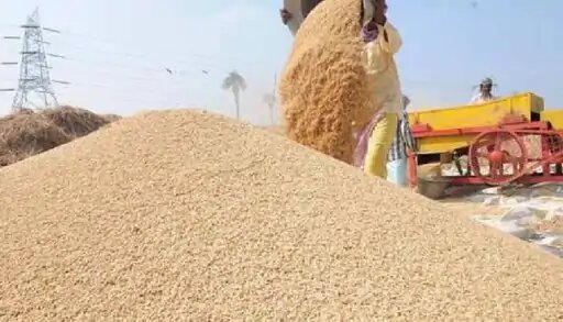 फर्जी चेक देकर किसानों से किया था धोखा