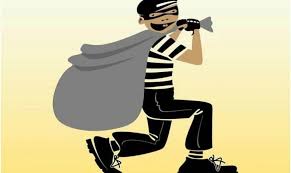 दिन दहाड़े दिया चोरी की वारदात को अंजाम