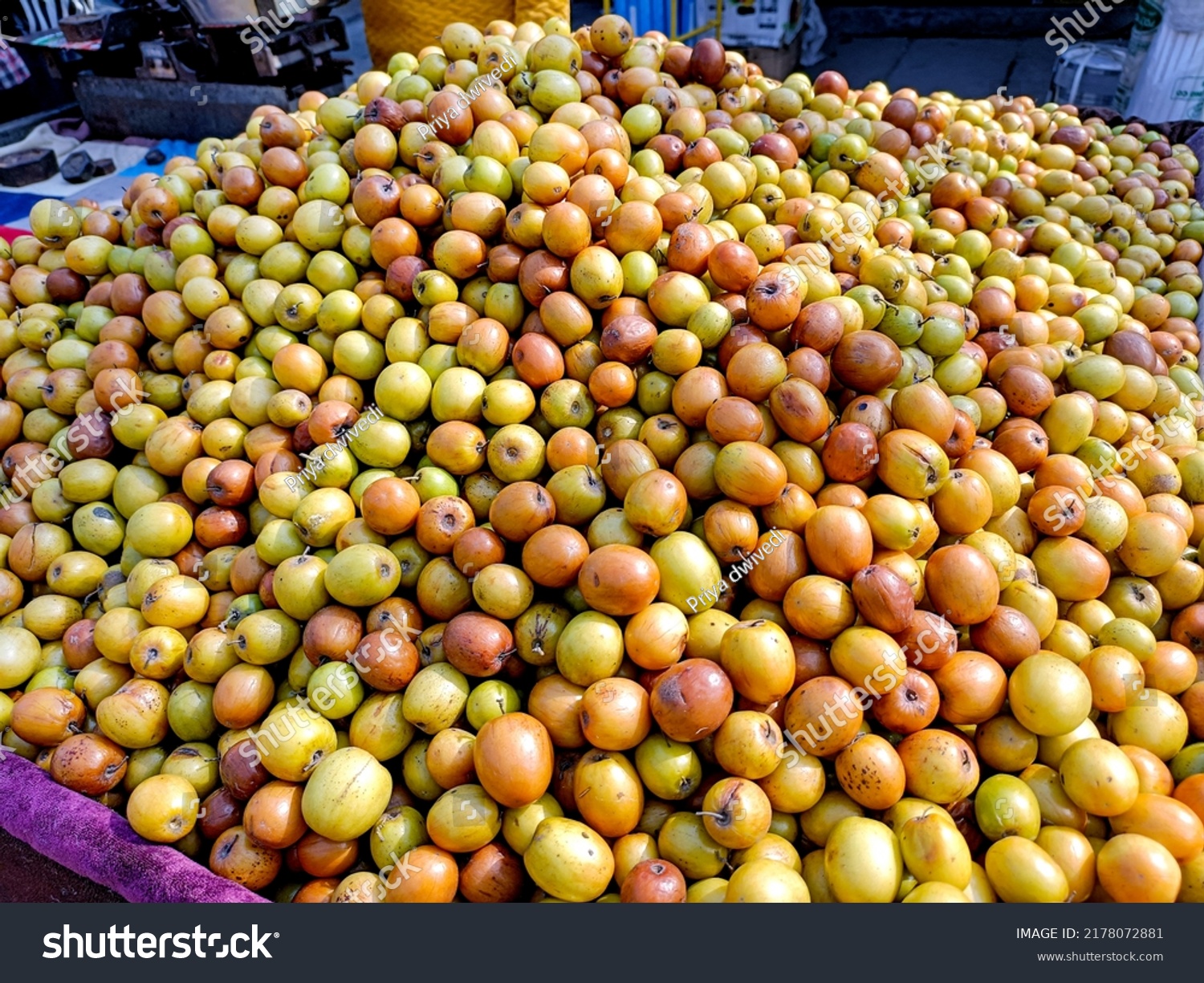 पूरे देश में त्रिलोका बेर के केवल 5 पेड़