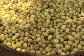 उमरिया में  30 से 35 रुपए में  बिकता है