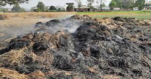 पैरा ढुलाई करते वक्त ट्रॉली में लगी आग