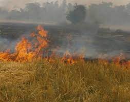 किसानों के लिए बड़े काम की सलाह