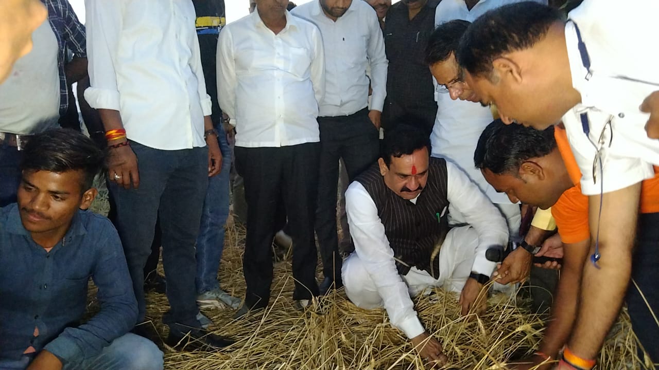 ओलावृष्टि और बारिश से फसलें हुईं चौपट