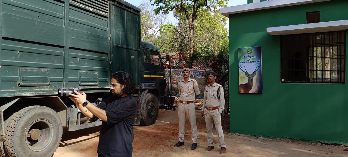 बारहसिंघा को बांधवगढ़ राष्टीय उद्यान में बसाया गया
