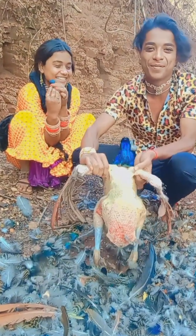 युवक का मोर में पंख उखाड़ने का  वीडियो वायरल