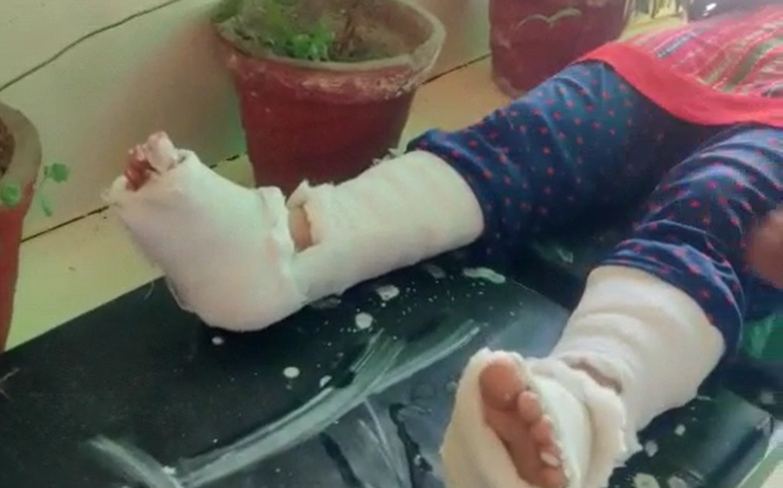 बंदरो की टोली करती हैं आतंक चुरा लेती हैं सामन