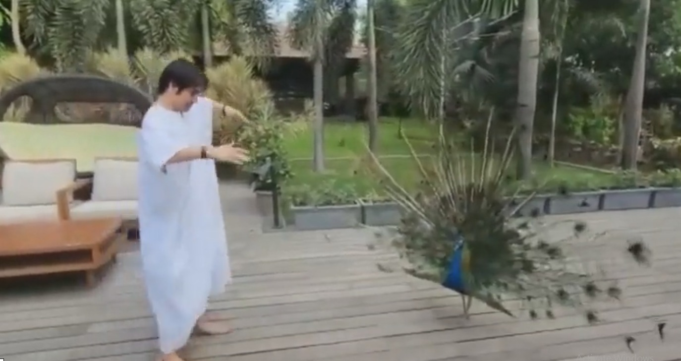 धीरेन्द्र शास्त्री ने किया मोर के साथ डांस