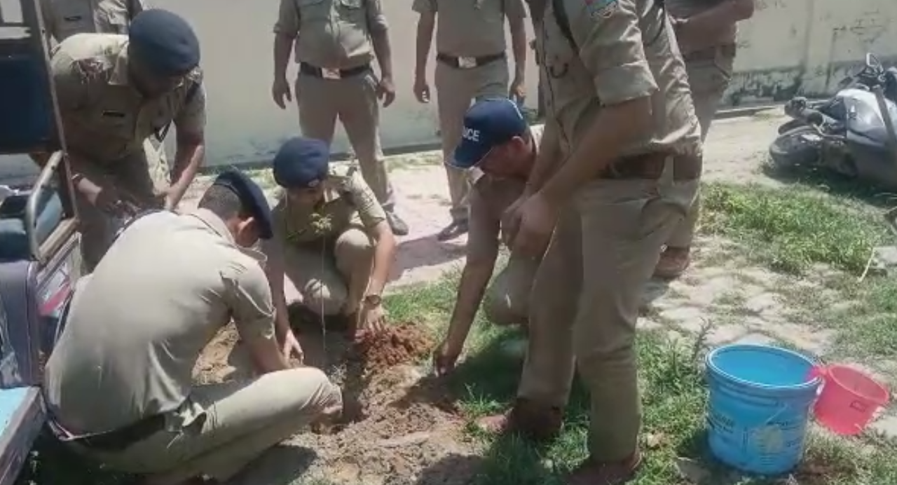  ग्लोबल वार्मिंग से बचना है तो पेड़ लगाएं