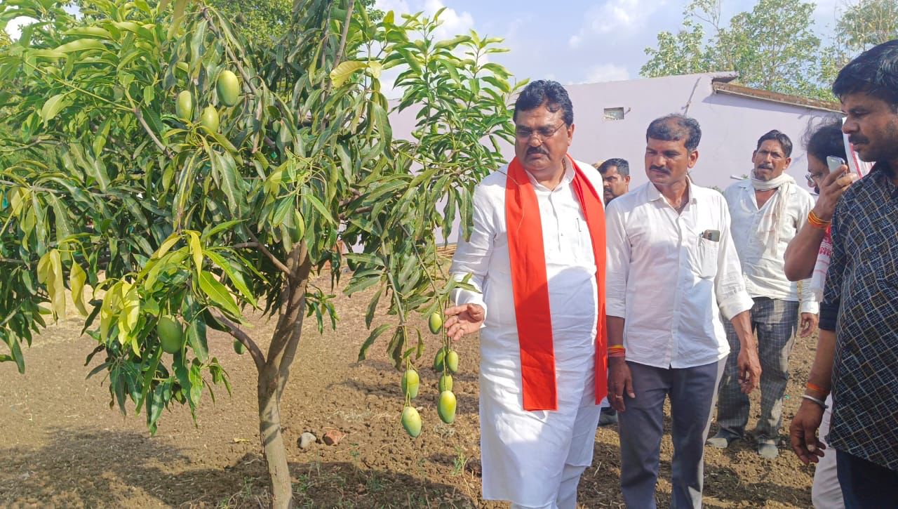 कृषि मंत्री  पटेल पहुंचे किसान के  बगीचे में