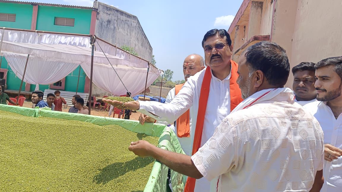 मप्र में ग्रीष्मकालीन मूंग फसल की समर्थन मूल्य पर खरीदी शुरू