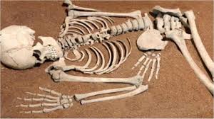 नर कंकाल मिलने से मचा हड़कंप