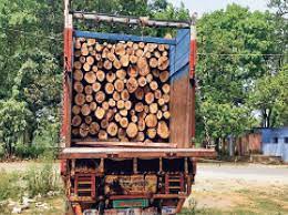 वन विभाग की टीम ने की बड़ी कार्यवाही