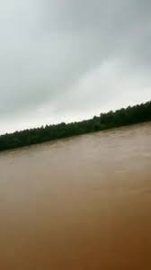 बचाने के तामाम प्रयास हुए नाकाम  