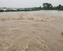 बरसात के चलते नदी नाले उफान पर