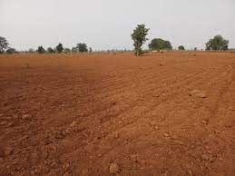 15 साल से 14 बीघा जमीन पर कब्जा