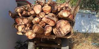 वन विभाग की टीम ने बड़ी करवाई की