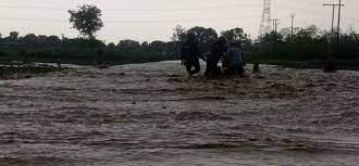 लगातार बारिश के चलते किरोड़ा नाला उफान पर